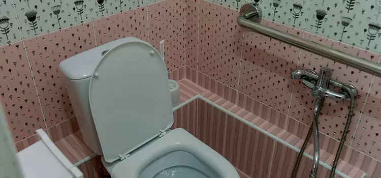 Meeting Diverse Needs With Accessible Restroom Solutions in Adelanto, CA
